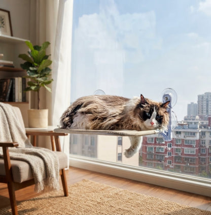 Cat Window Hammock