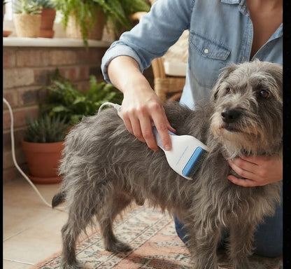 Electric Flea & Lice Comb