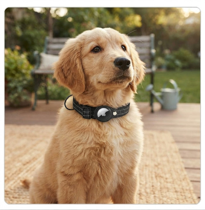 AirTag Dog Collar