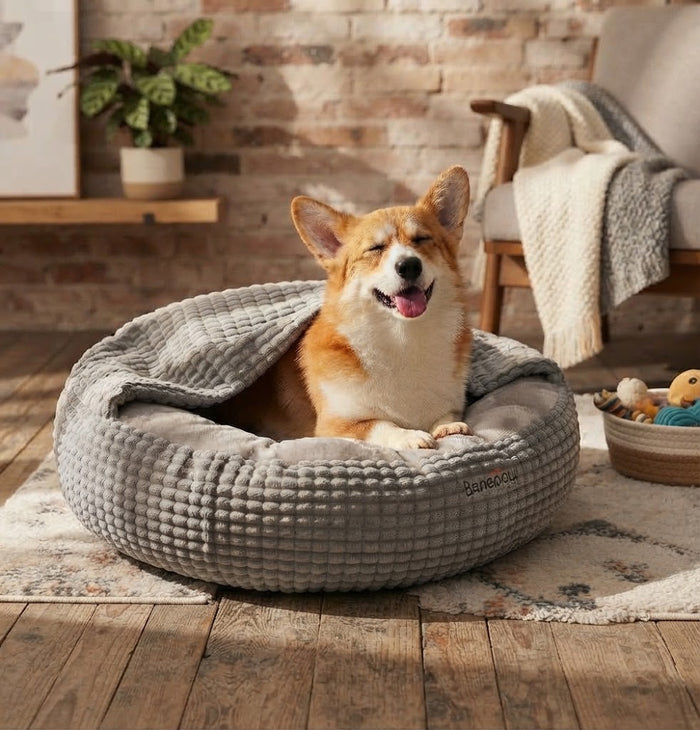 Calming Donut Bed