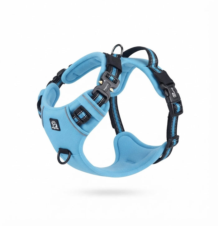 No-Pull Harness