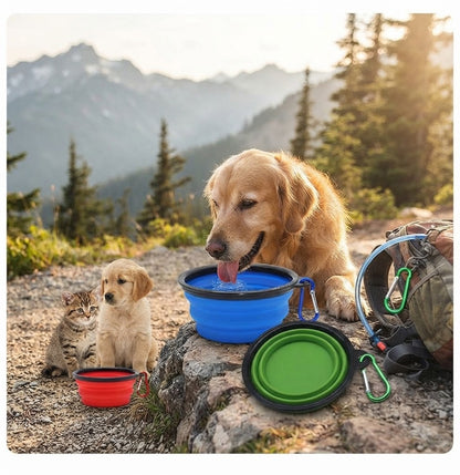 Collapsible Silicone Bowl 2-in-1