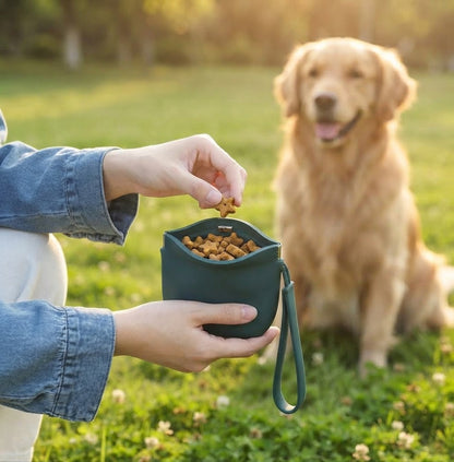 Treat Training Pouch