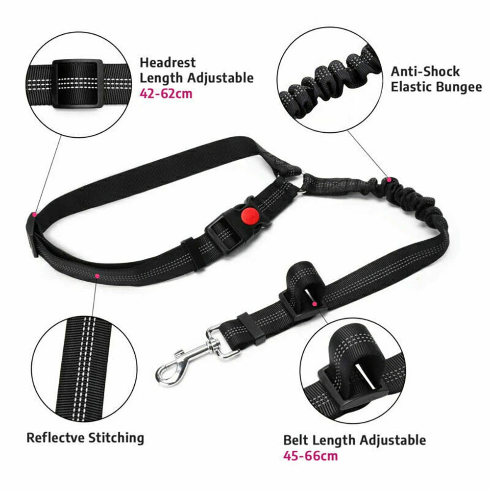 Dog car seat belt from A minha loja, adjustable safety harness for secure pet travel in vehicles.