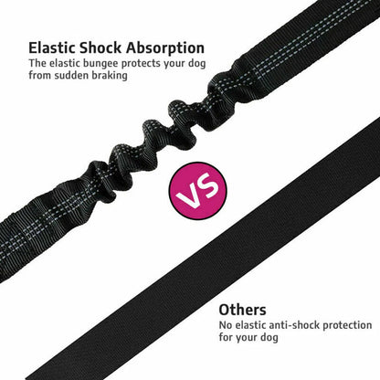 Dog car seat belt from A minha loja, adjustable harness with secure clip for safe travel with pets in vehicles.
