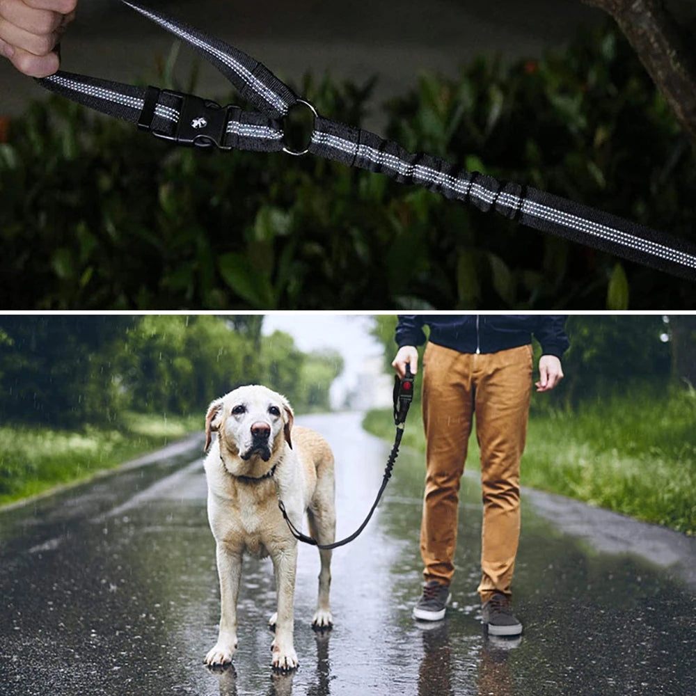 A minha loja dog car seat belt secured to car seat, adjustable nylon strap with clip for safe pet travel