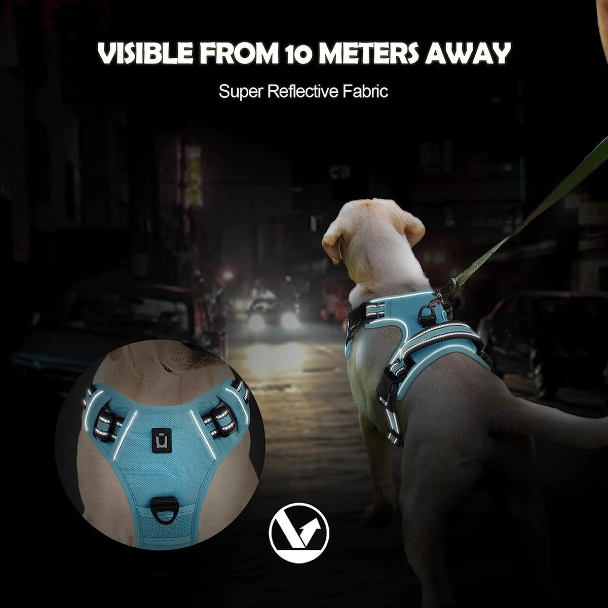 No-pull dog harness from A minha loja, showing adjustable straps and sturdy design for comfortable leash walking.