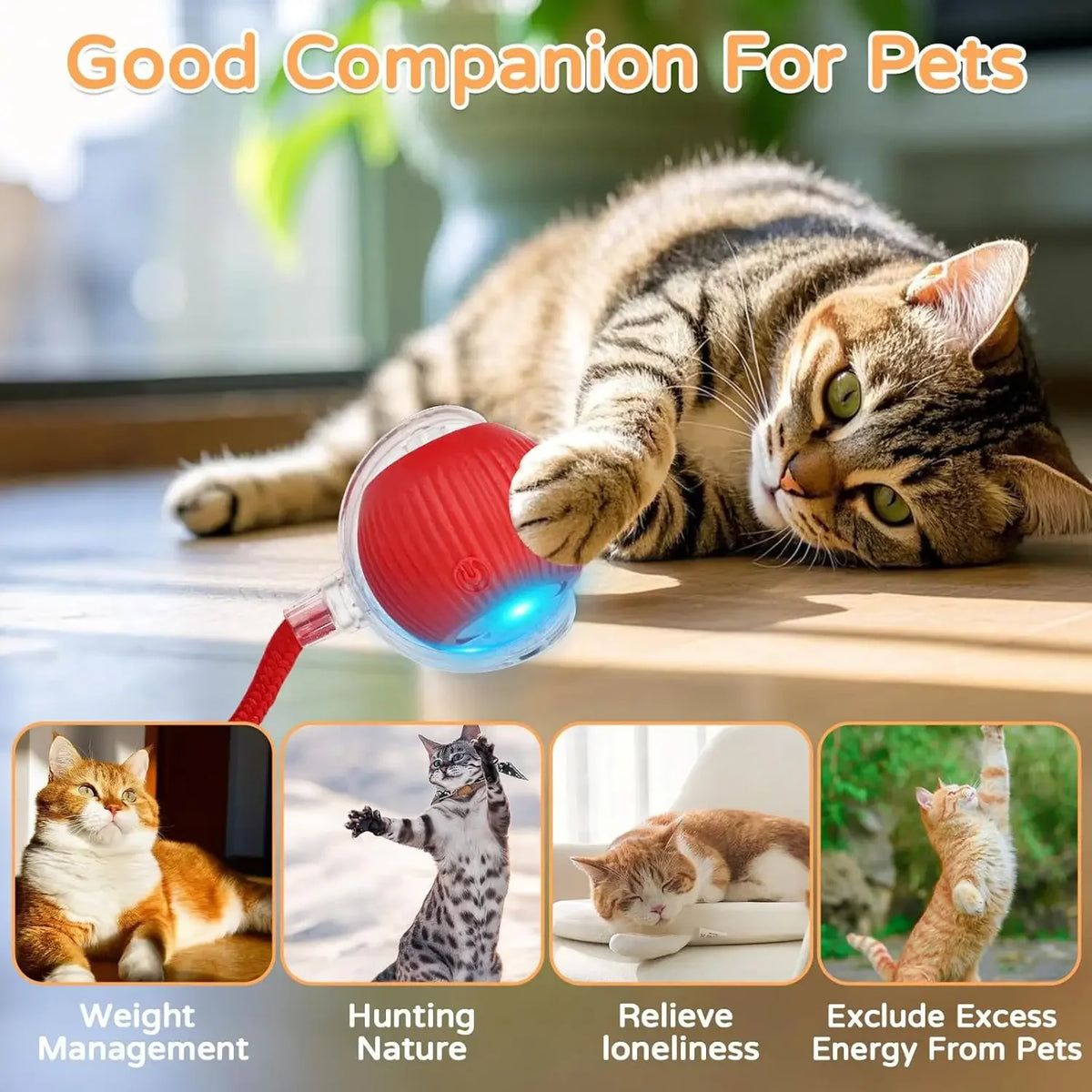 A minha loja iLMH cat interactive ball toy with faux tail, automatic rolling, rechargeable smart electric pet toy imitating a mouse.