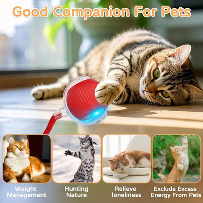 A minha loja iLMH cat interactive ball toy with faux tail, automatic rolling, rechargeable smart electric pet toy imitating a mouse.