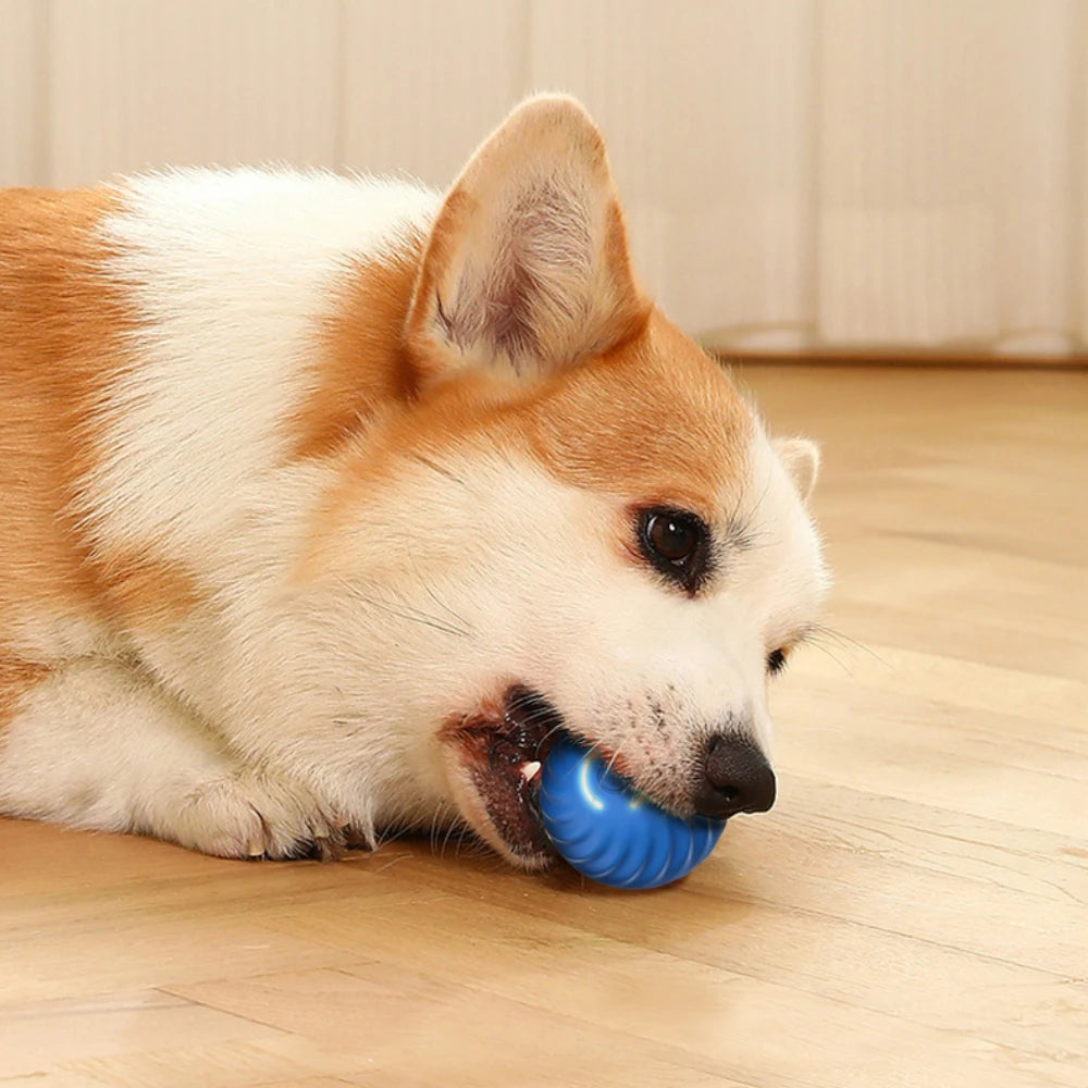 Smart automatic moving dog ball by A minha loja, featuring a durable plastic exterior and interactive motion for pets.