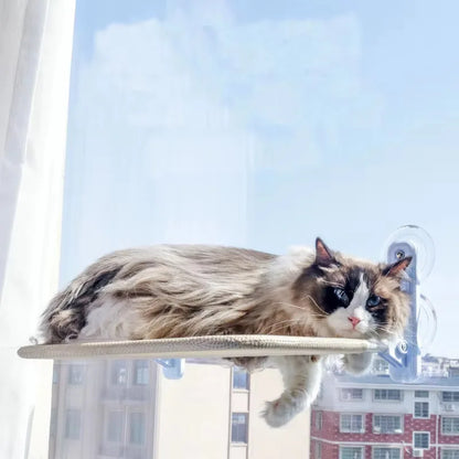 Foldable cat hammock with suction cups for window hanging, sunbathing, and wall mounting, ideal for cats' comfort and climbing.