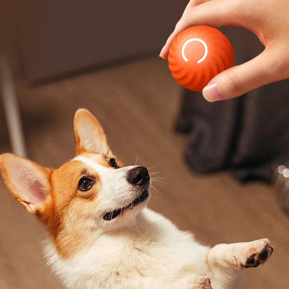 Smart automatic moving dog ball by A minha loja, showing a playful pet chasing the interactive, motorized dog toy in action.