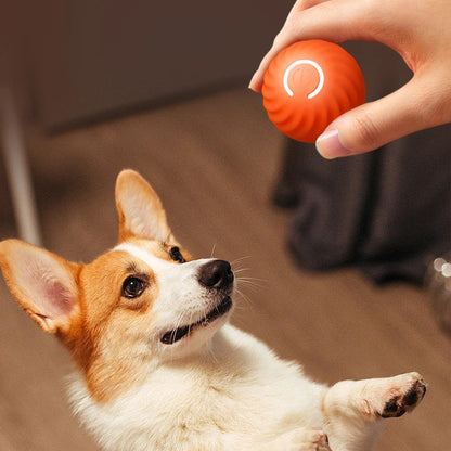 Smart automatic moving dog ball by A minha loja, showing a playful pet chasing the interactive, motorized dog toy in action.