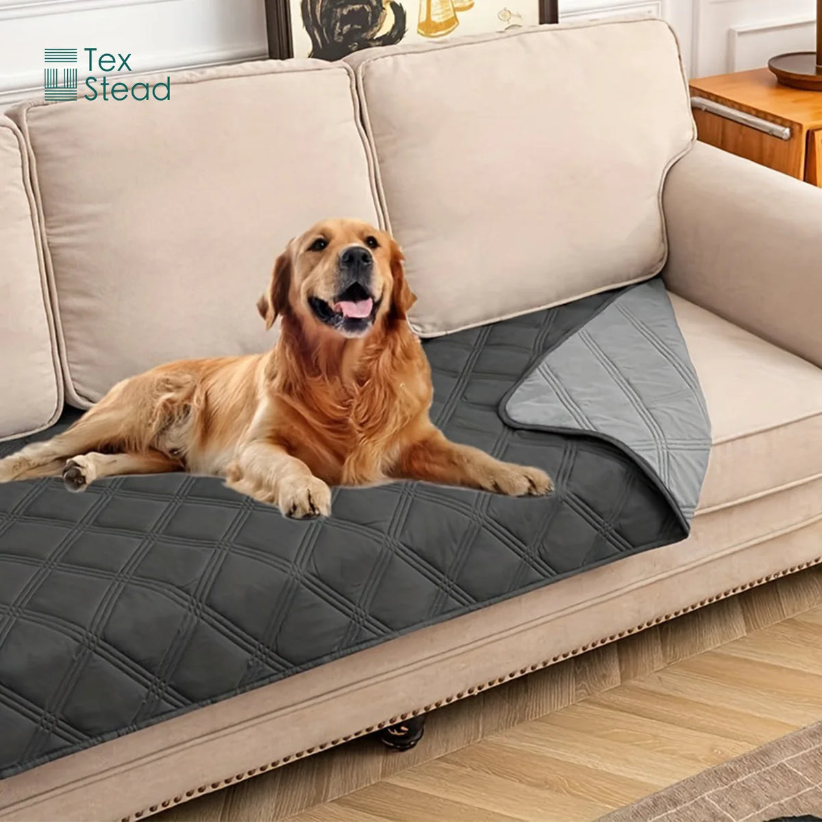 Reversible waterproof dog bed cover and sofa protector by A minha loja, shown on a couch with a soft, durable fabric design.