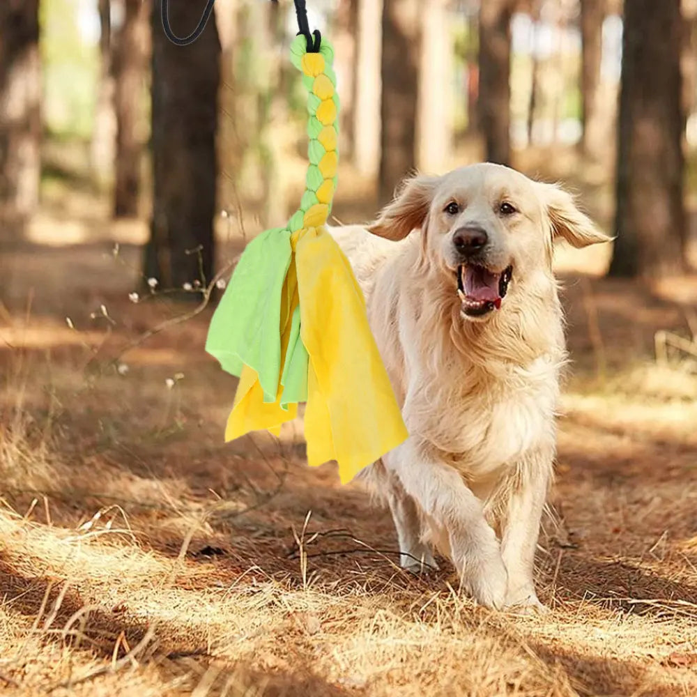 Retractable dog flirt pole toy by A minha loja with extendable stick, fun chasing tail teaser, perfect for outdoor pet exercise and play.