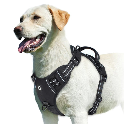 A minha loja no-pull dog harness showing adjustable straps and secure clip for comfortable, gentle control during walks.