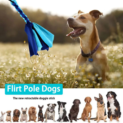 A minha loja retractable dog flirt pole with a colorful extendable stick and plush toy for interactive outdoor play and exercise.