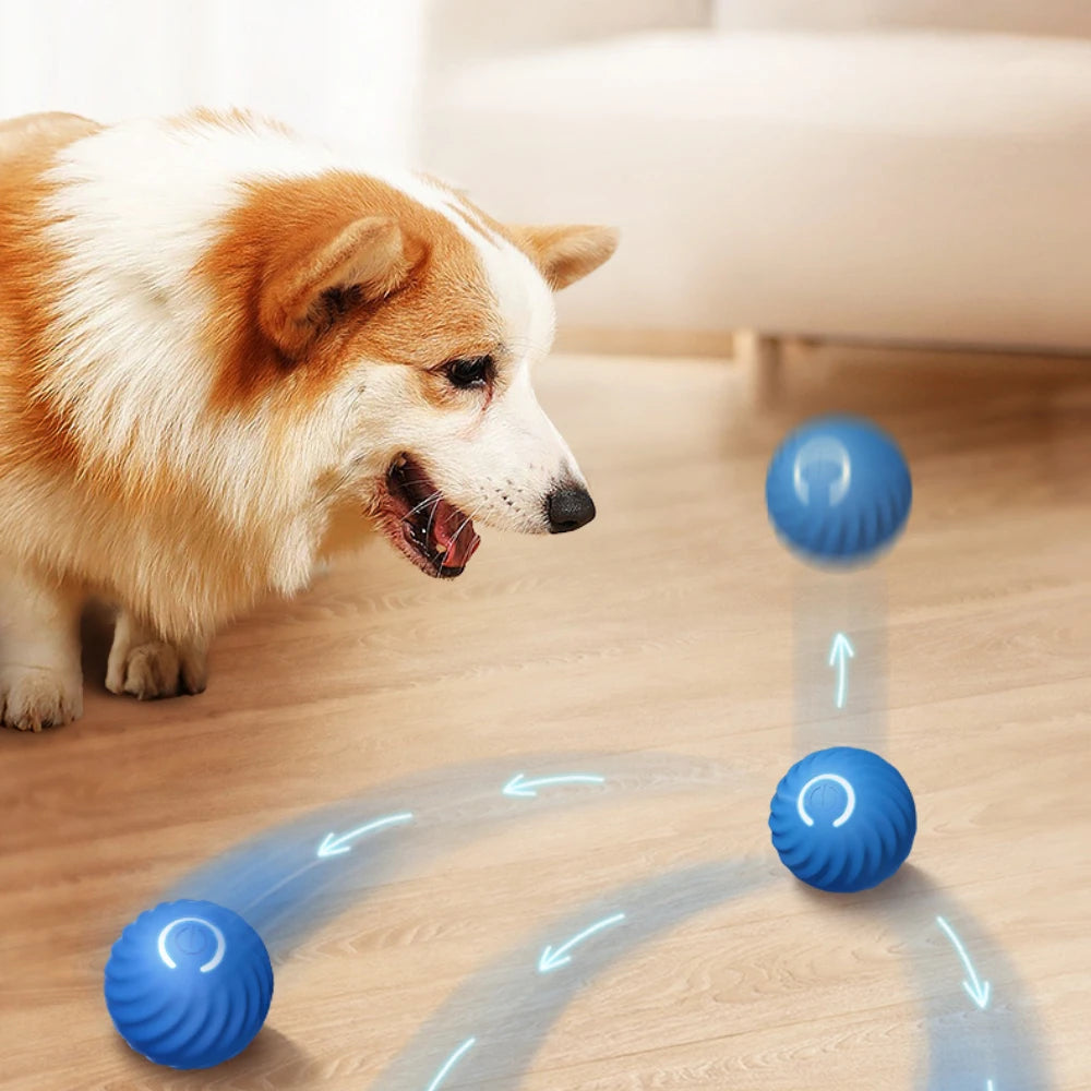 Smart automatic moving dog ball by A minha loja showing a colorful, interactive pet toy designed for playful dogs.