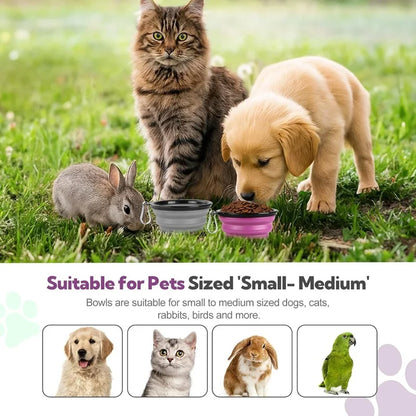 Portable silicone dog and cat feeder bowl with dispenser and carabiner for travel, food, and water, by A minha loja.