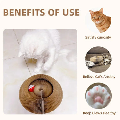 Round corrugated cat scratcher toy from A minha loja, designed for cats to scratch and grind claws with a durable scratching surface.