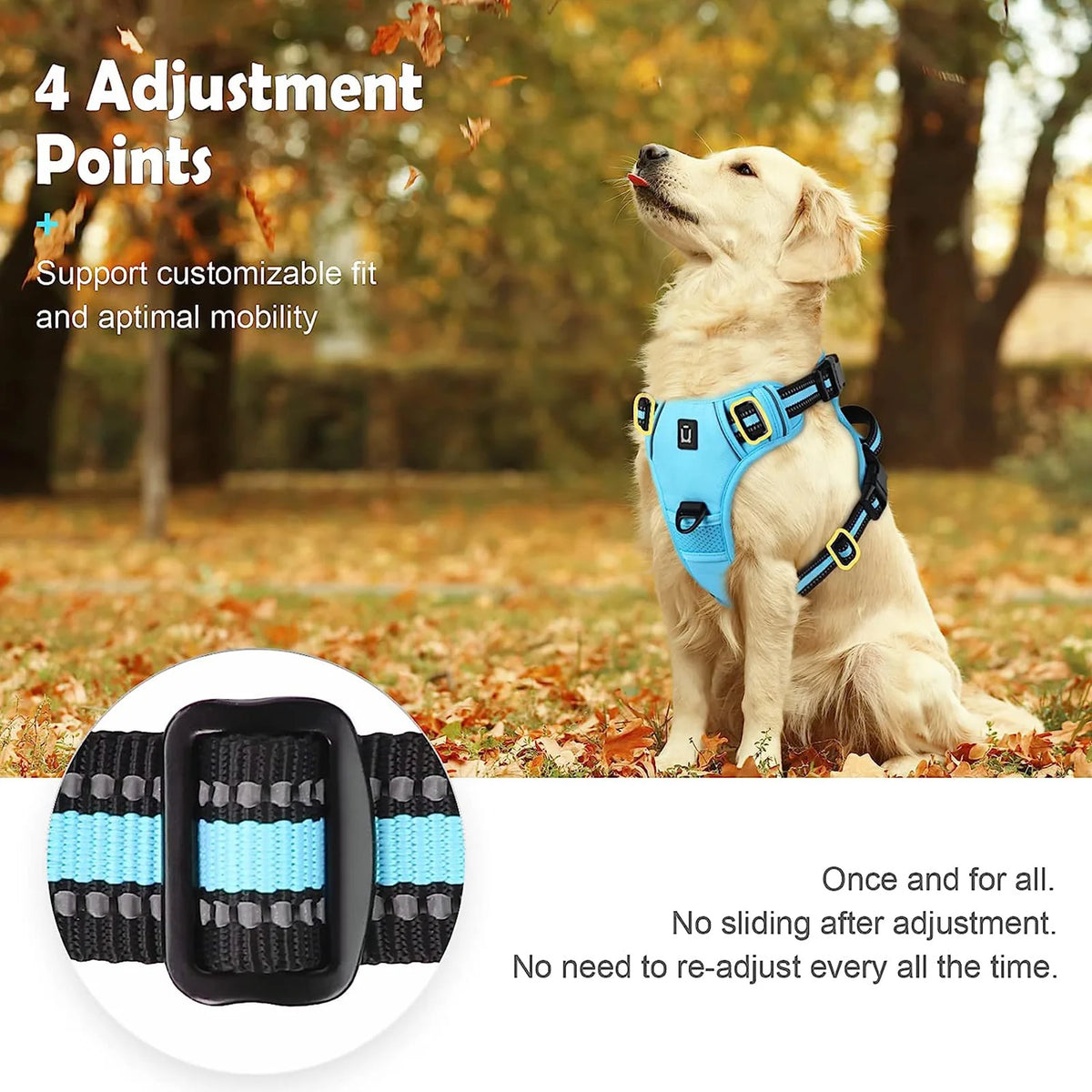 A minha loja no-pull dog harness in black, featuring adjustable straps and a secure clip for comfortable, leash-friendly control.