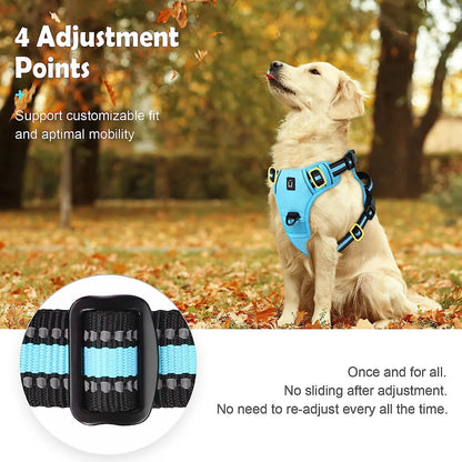 A minha loja no-pull dog harness in black, featuring adjustable straps and a secure clip for comfortable, leash-friendly control.