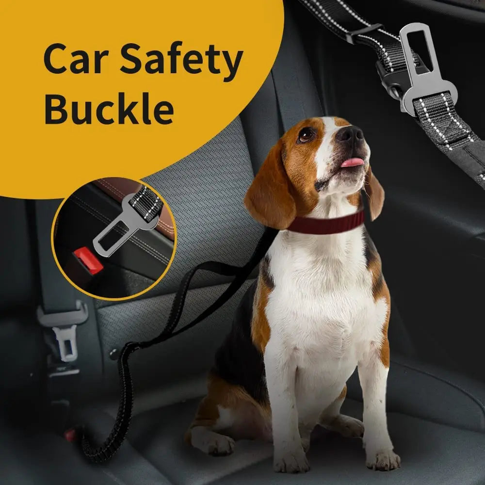 Hands-free bungee leash by A minha loja with adjustable strap and shock-absorbing design for active pet walks.
