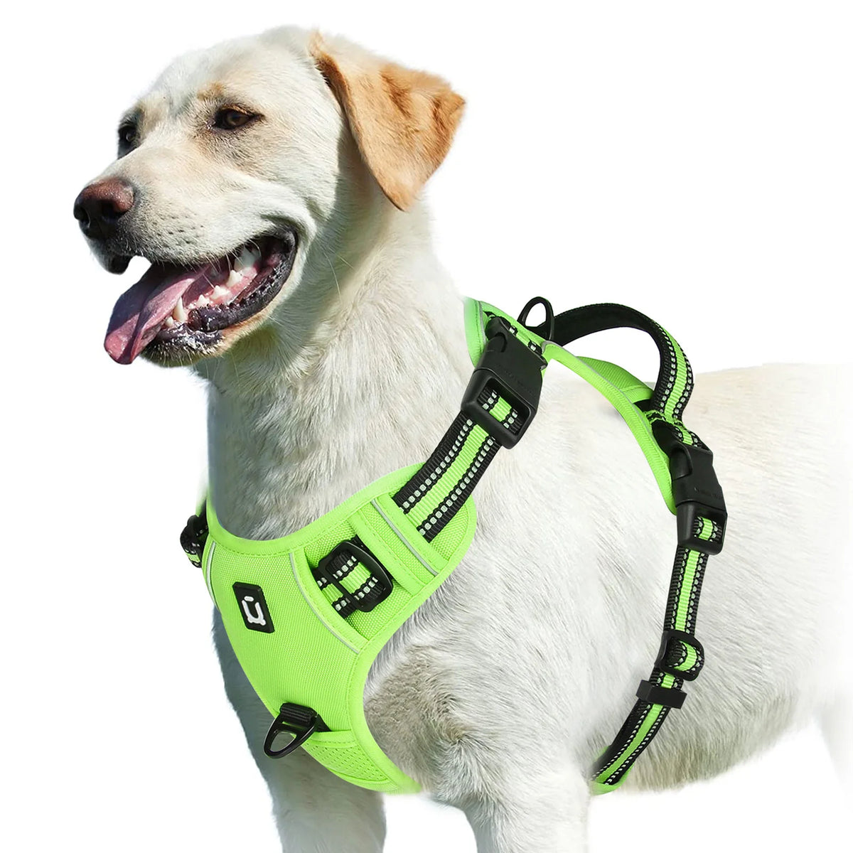 A minha loja no-pull dog harness with adjustable straps and secure buckle, designed for comfortable and safe walking.