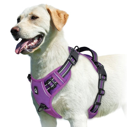 No-pull dog harness by A minha loja, adjustable black harness with padded straps for comfortable and secure walking.