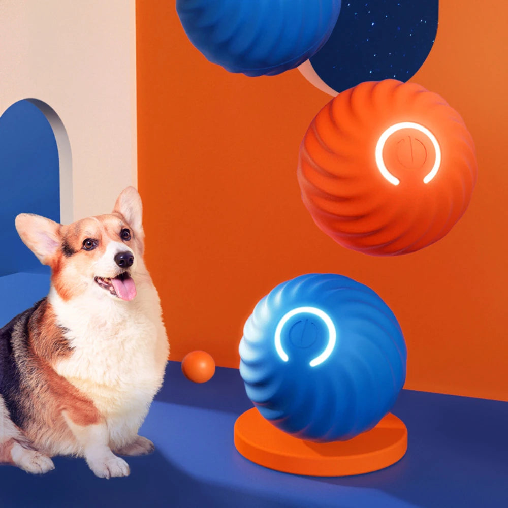 Smart automatic moving dog ball by A minha loja, showing a playful pet chasing the interactive, motion-activated dog toy.