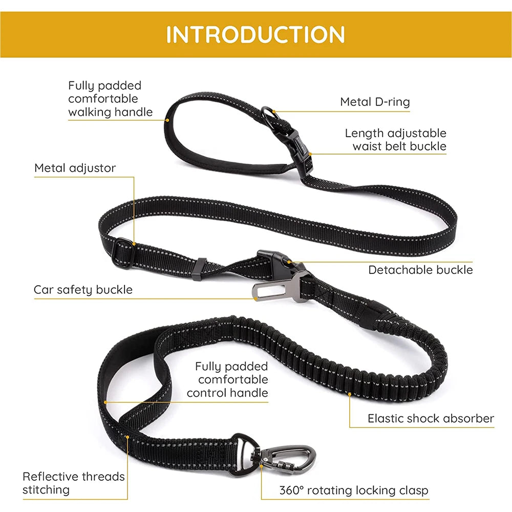 Hands-free bungee leash by A minha loja with adjustable strap and shock-absorbing bungee cord for secure dog walking.