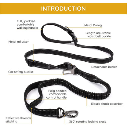 Hands-free bungee leash by A minha loja with adjustable strap and shock-absorbing bungee cord for secure dog walking.