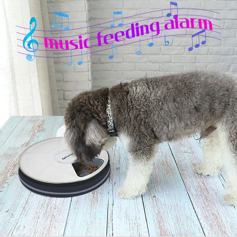 A minha loja 24-hour pet automatic feeder with round design, six grids, digital timer, and voice recorder for cats and dogs.