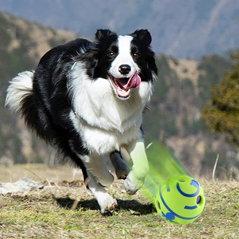 Dog giggle ball by A minha loja, a colorful toy with playful design, designed to entertain and engage dogs during playtime.