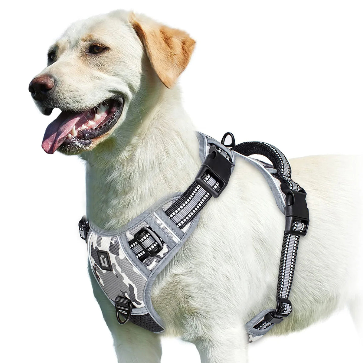 A minha loja no-pull dog harness shown on a dog, featuring adjustable straps and a secure clip for comfortable control.