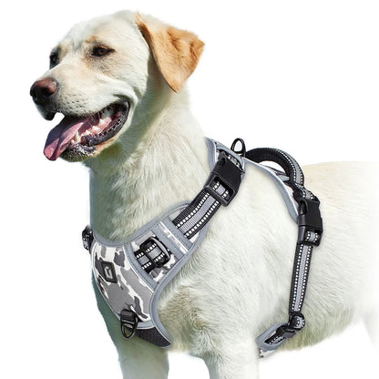 A minha loja no-pull dog harness shown on a dog, featuring adjustable straps and a secure clip for comfortable control.