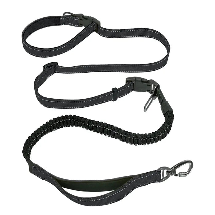 Hands-Free Bungee Leash