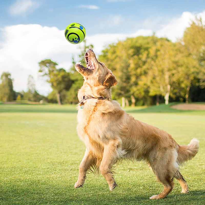 Dog giggle ball by A minha loja, a colorful rubber toy designed to entertain dogs with fun giggling sounds.