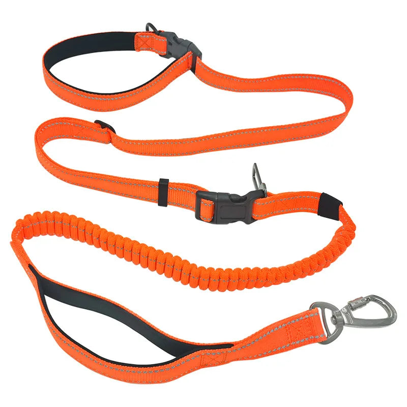 Hands-free bungee leash from A minha loja with adjustable strap and shock-absorbing design for secure pet walking.