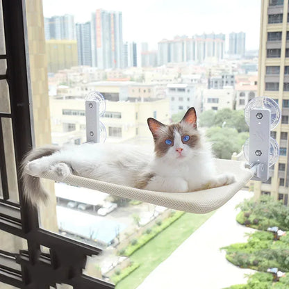 Foldable window suction cup cat hammock with hanging nest and climbing frame, wall-mounted cat sunbathing bed by A minha loja