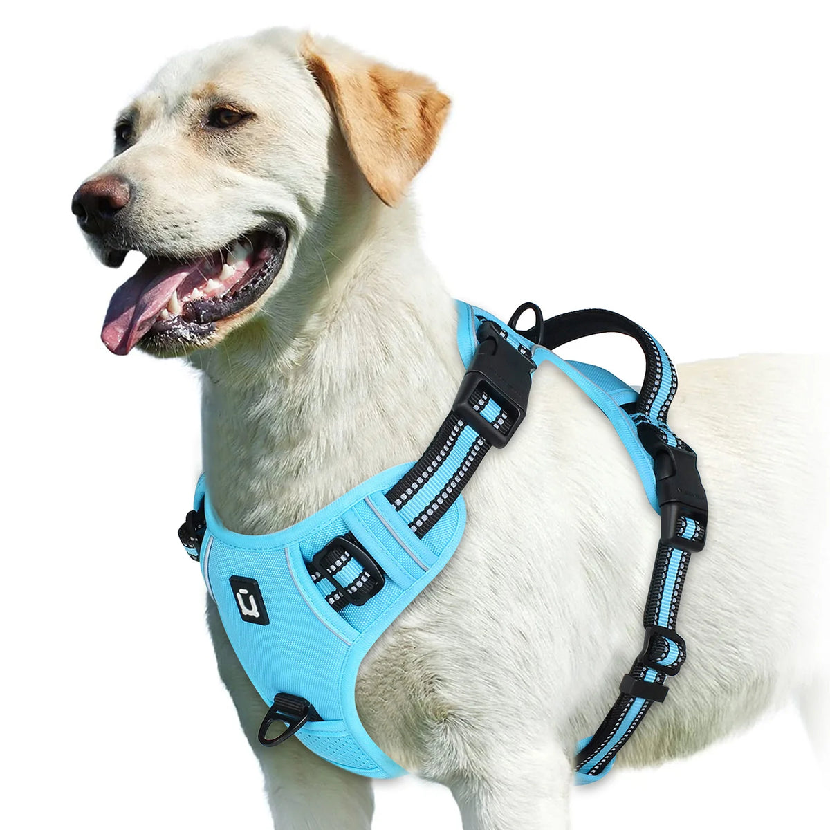A Minha Loja no-pull dog harness with adjustable straps and breathable material, designed for comfortable, secure pet walking.