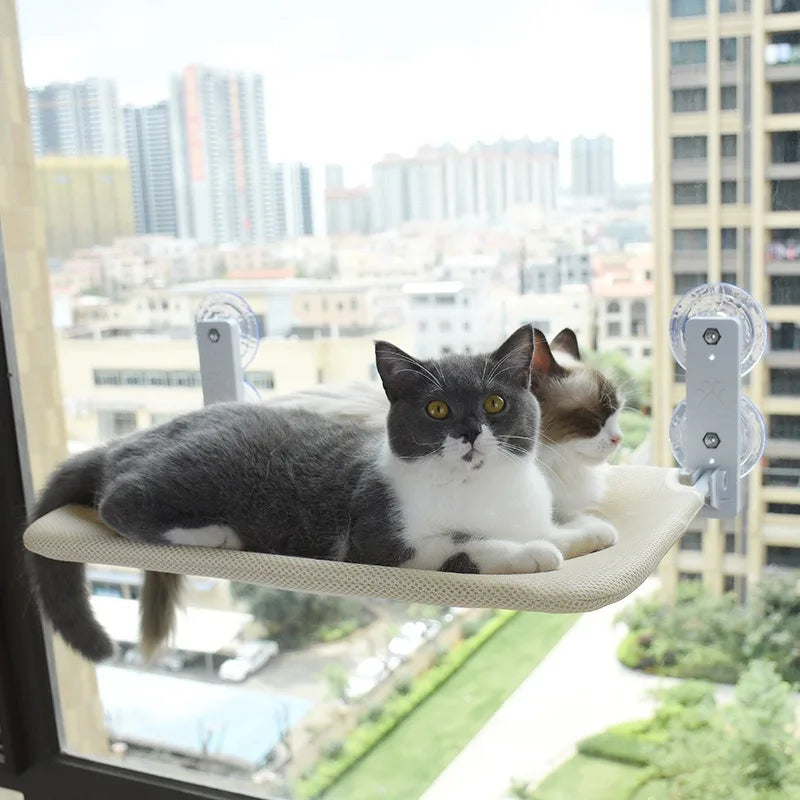 Foldable cat hammock with suction cups hanging on window, ideal for sunbathing and climbing, by A minha loja.
