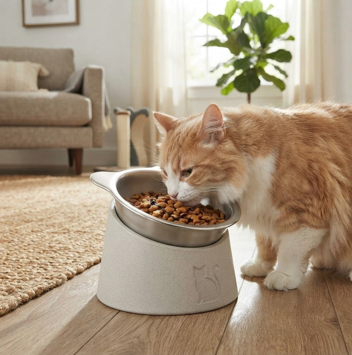 Raised Tilted Cat Bowl