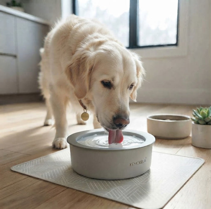 Floating No-Spill Bowl